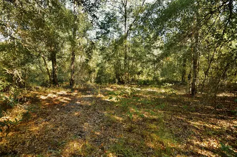 00 SW 40th Ave, Jasper, FL 32052 photo 43