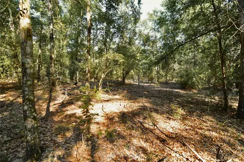 00 SW 40th Ave, Jasper, FL 32052 photo 48