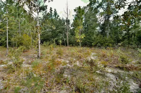 00 SW 40th Ave, Jasper, FL 32052 photo 28