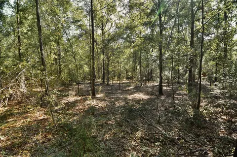 00 SW 40th Ave, Jasper, FL 32052 photo 24
