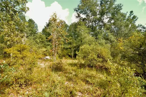 00 SW 40th Ave, Jasper, FL 32052 photo 66