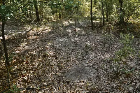 00 SW 40th Ave, Jasper, FL 32052 photo 19