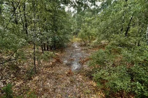 00 SW 40th Ave, Jasper, FL 32052 photo 29