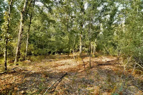 00 SW 40th Ave, Jasper, FL 32052 photo 52