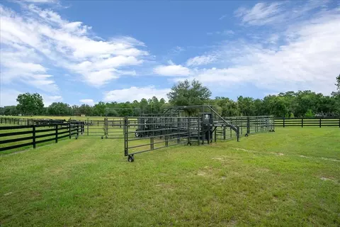 3155 NW 150th Ave, Ocala, FL 34482 photo 40