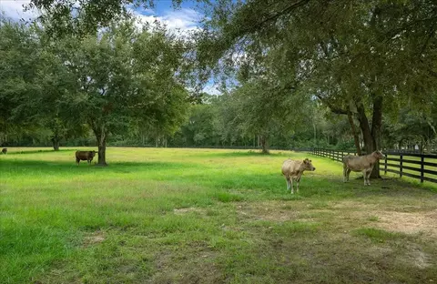 3155 NW 150th Ave, Ocala, FL 34482 photo 30