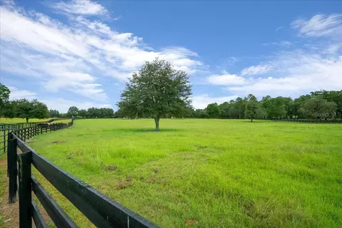 3155 NW 150th Ave, Ocala, FL 34482 photo 42