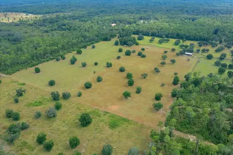 3155 NW 150th Ave, Ocala, FL 34482 photo 8