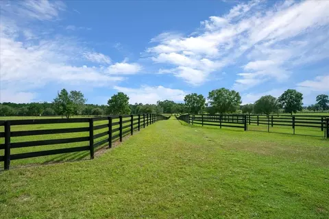3155 NW 150th Ave, Ocala, FL 34482 photo 36