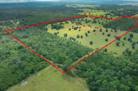 3155 NW 150th Ave, Ocala, FL 34482 photo 10