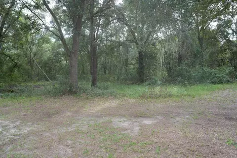 Other - 12330 NE 77th Ct, Bronson, FL 32621 photo 14 of 14