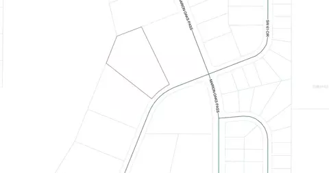 tbd SW 61st Avenue Rd, Ocala, FL 34473 photo 2
