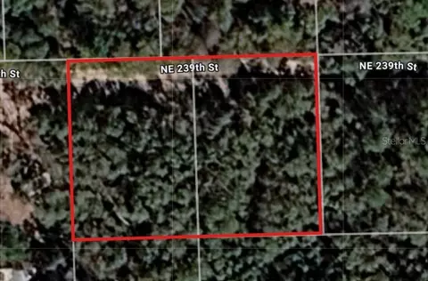 lot18 NE 19 Ne 239th St, Fort Mc Coy, FL 32134