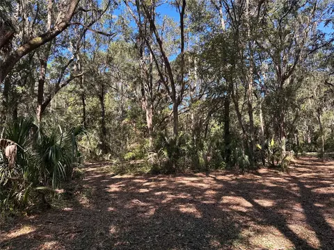 11660 NE 225th St, Fort Mc Coy, FL 32134