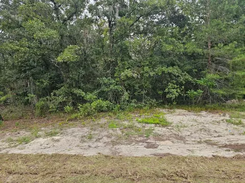 Tba SE 56th Ct., Ocala, FL 34473 photo 2