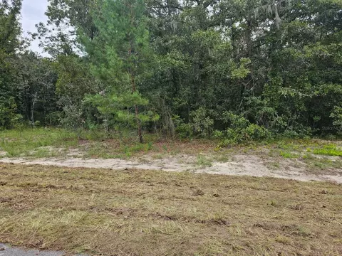 Tba SE 56th Ct., Ocala, FL 34473 photo 5
