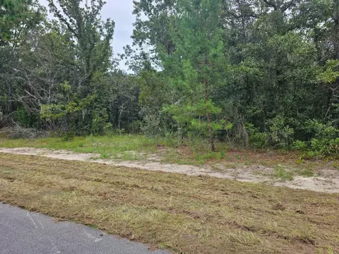 Tba SE 56th Ct., Ocala, FL 34473 photo 6