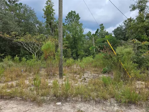 0000 NE 67th St, Bronson, FL 32621 photo 3