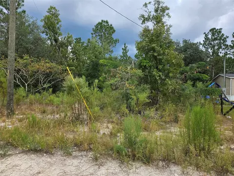 0000 NE 67th St, Bronson, FL 32621 photo 2