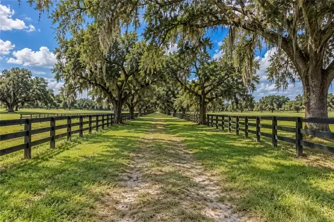 tbd SW 104 Street Rd, Ocala, FL 34476 photo 13