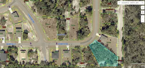 317 Bowfin Dr, Poinciana, FL 34759