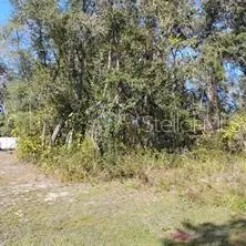 tbd SE 61st Pl, Ocklawaha, FL 32179