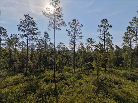 Off Ne 212th St., Fort Mc Coy, FL 32134