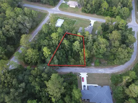 tbd Sequoia Loop Ln, Ocklawaha, FL 32179