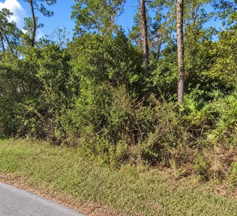 Coon Road, Astor, FL 32102
