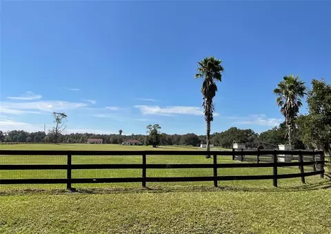 Exterior - 20970 NE 30th St, Williston, FL 32696 photo 11 of 11