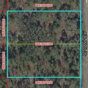 SE 131 Terrace, Dunnellon, FL 34431