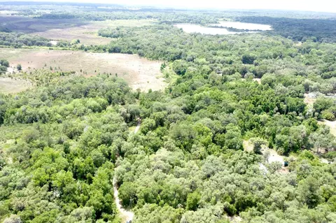 tbd NE 192nd Pl, Fort Mc Coy, FL 32134