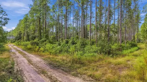 0 Doc Smith Rd, Bronson, FL 32621 photo 3