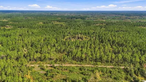 0 Doc Smith Rd, Bronson, FL 32621 photo 5