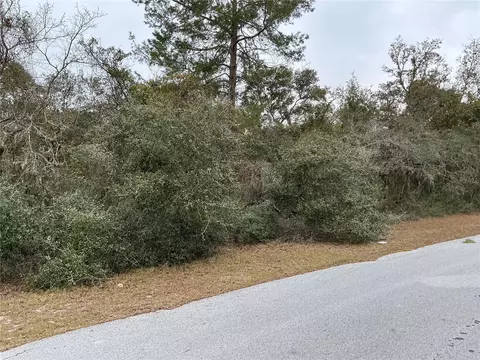 SW 137th Loop, Ocala, FL 34473 photo 4