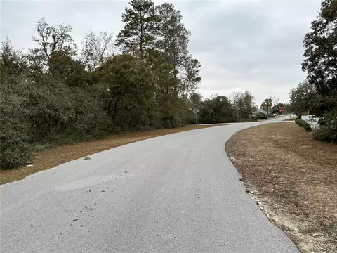 SW 137th Loop, Ocala, FL 34473 photo 5