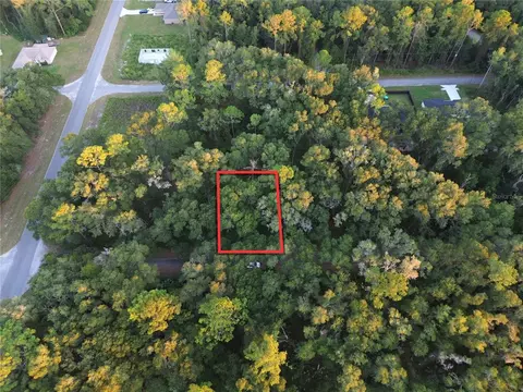 tbd Sequoia Loop Trak, Ocklawaha, FL 32179