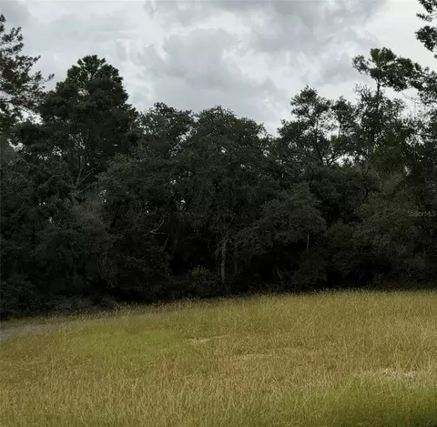 38 Th Ct, Ocala, FL 34473 photo 4