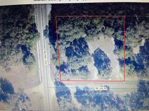 00 Highway 315, Fort Mc Coy, FL 32134
