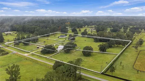 View/Area - 11347 NW 160th St, Reddick, FL 32686 photo 3 of 5