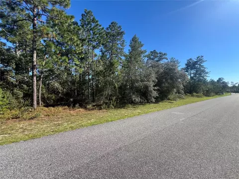 4098 W Thrush Dr, Citrus Springs, FL 34433