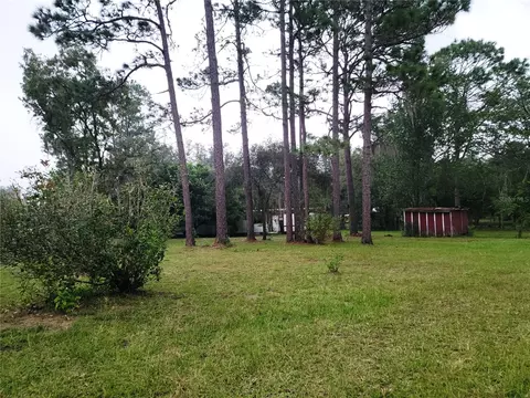 Exterior - 12231 NE 64 Pl, Williston, FL 32696 photo 7 of 10