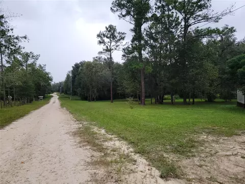 Other - 12231 NE 64 Pl, Williston, FL 32696 photo 1 of 3