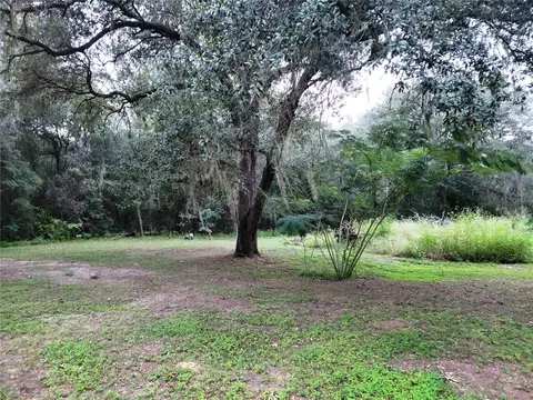 Exterior - 12231 NE 64 Pl, Williston, FL 32696 photo 5 of 10