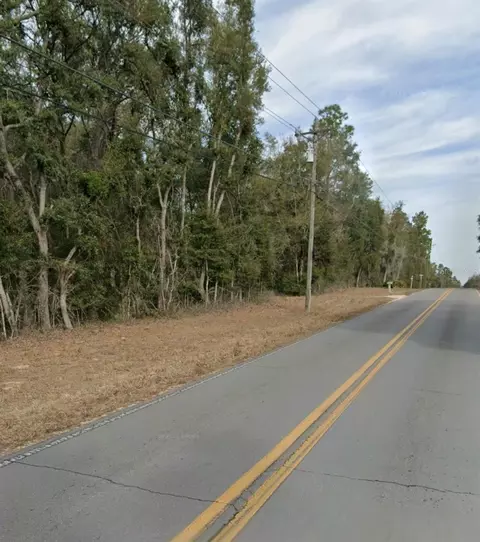 Ne 105th Avenue, Bronson, FL 32621 photo 4