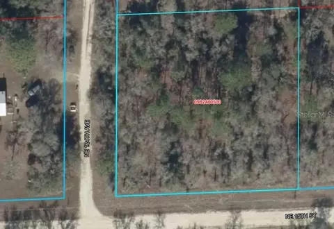lot6 NE 124 St, Williston, FL 32696 photo 2