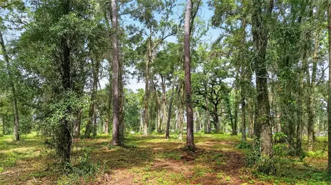 tbd SW 38th Ave, Ocala, FL 34476 photo 14