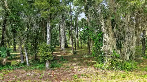 tbd SW 38th Ave, Ocala, FL 34476 photo 22