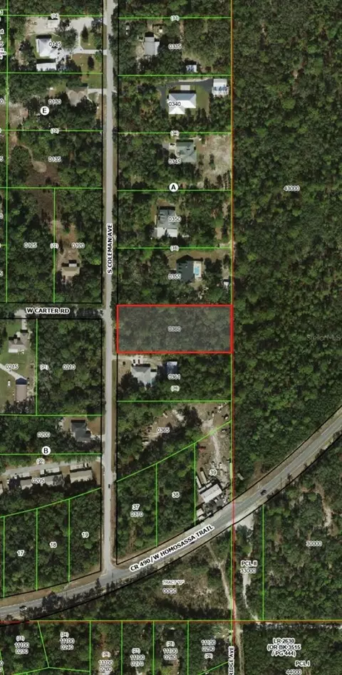 2823 S Coleman Ave, Homosassa, FL 34448