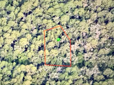 9452 N Irondale Rd, Citrus Springs, FL 34434